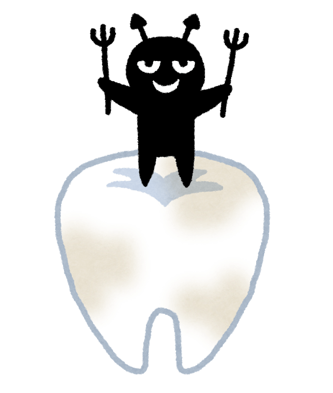 子供の歯である乳歯とは 乳歯の特徴について 一関市 家族で通える歯医者 小児歯科 矯正歯科 歯周病